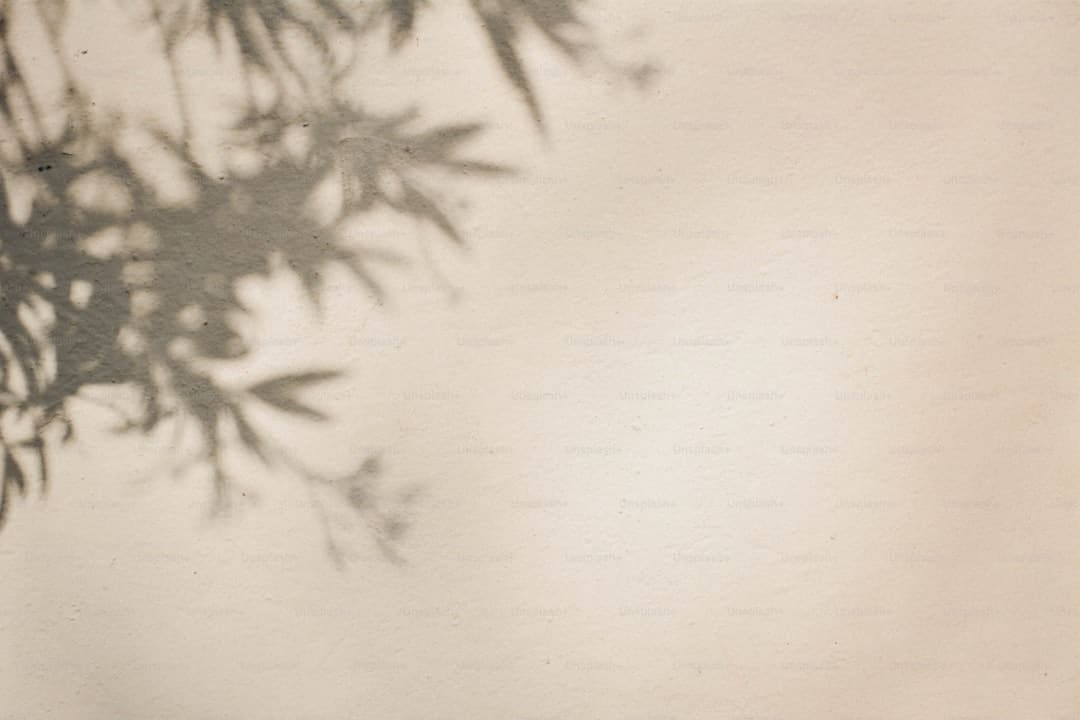 “印度首部AI电影”计划明年上映